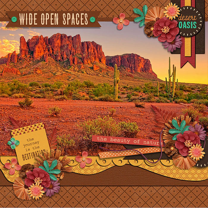 cs-ourtrip-inthedesert