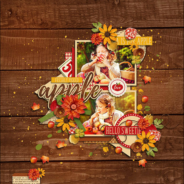 cs-thisautumn-appleorchard