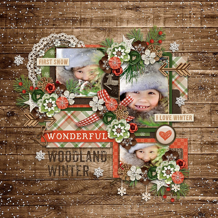 cs-winterwoods