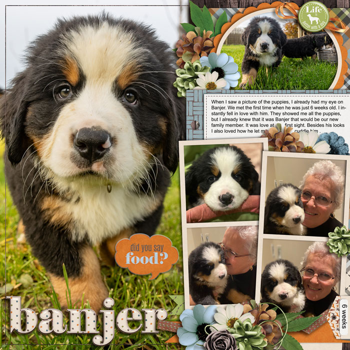 cschneider-palooza322-jocee-the-dog-bark-700