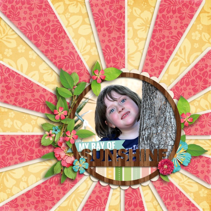 cschneider-youaremyhappy-sunshineframe_700_x_700_1