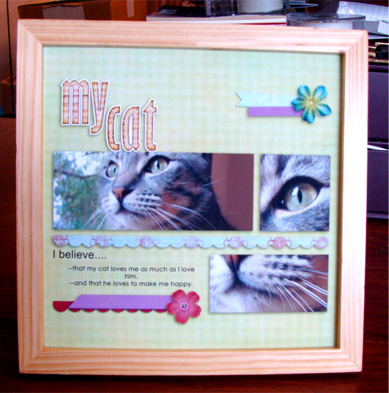 cwalshmycatweb