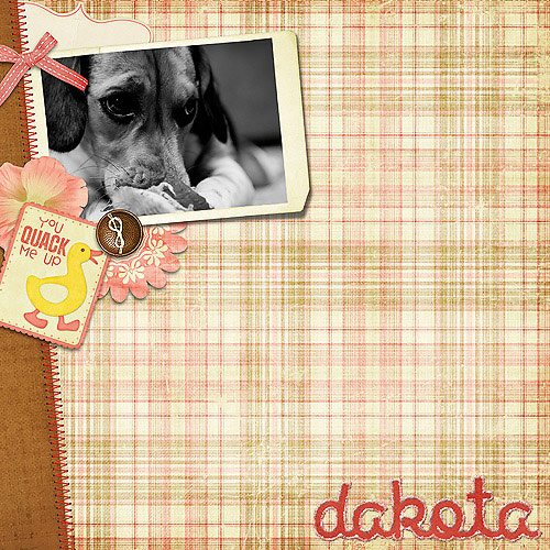 dakotaweb
