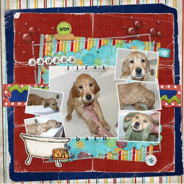 dbaldwin-ssdcookie-032509