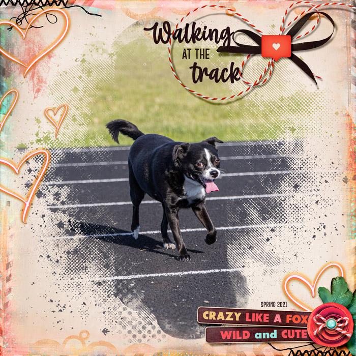 dbp02-tem-12x12-11-walking-at-track-700