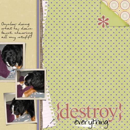 destroy