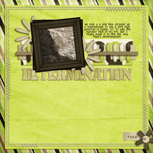determination-wr