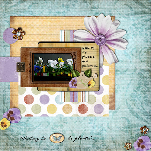 dm_vgf_p2d_pansies