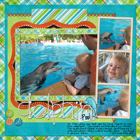 dolphin-pool-web
