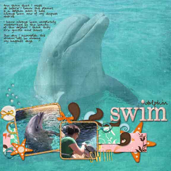 dolphin-swim-before-i-die