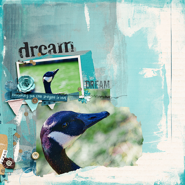 dream-6002