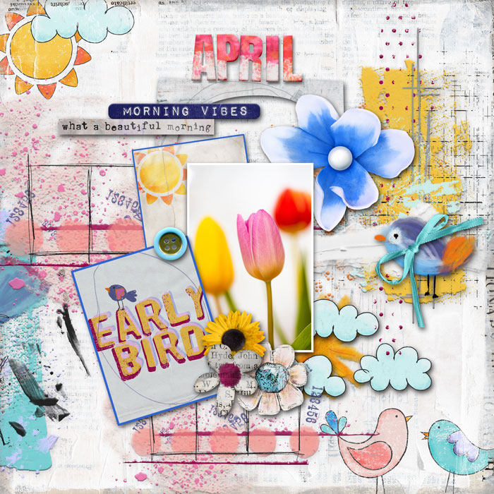 early-bird-2