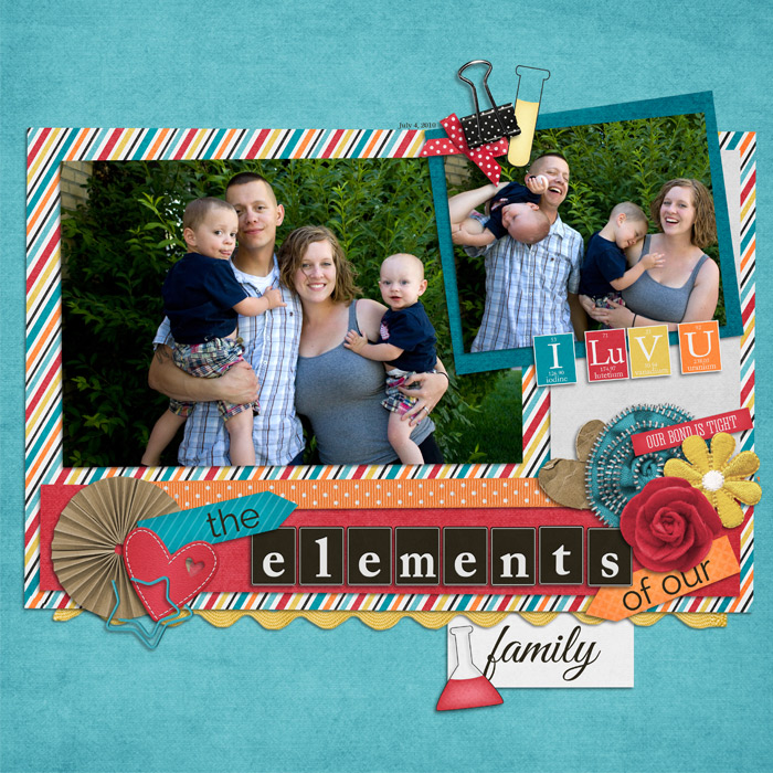 elementsoffamily