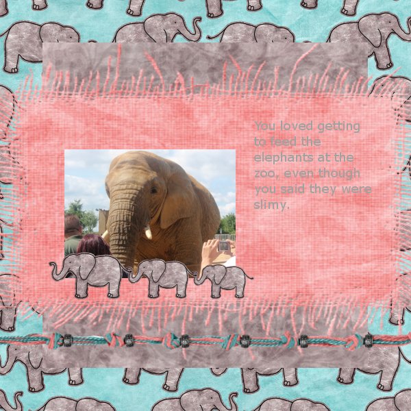 elephants