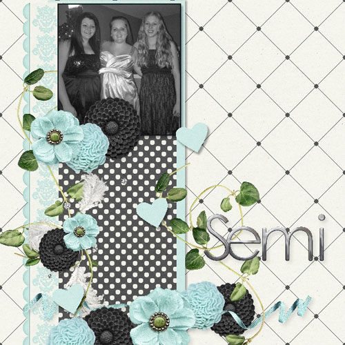 emily_s-semi