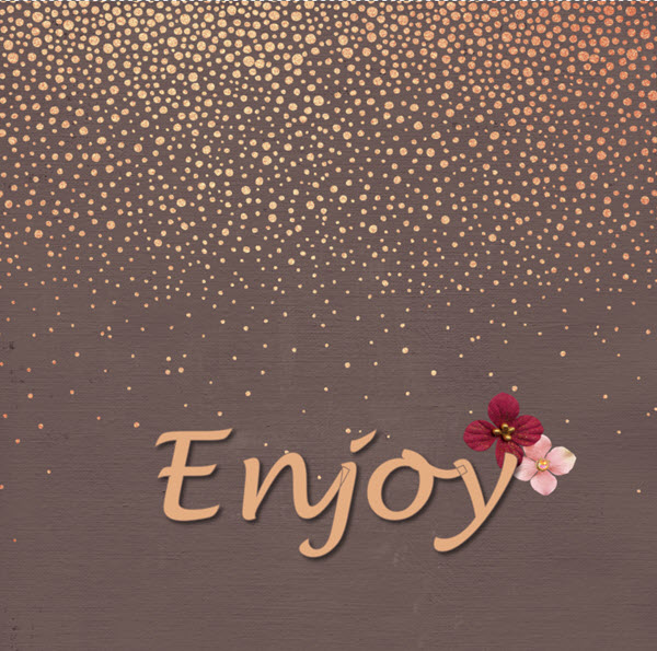 enjoy27