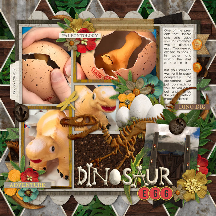 ethans-dinosaur-egg700