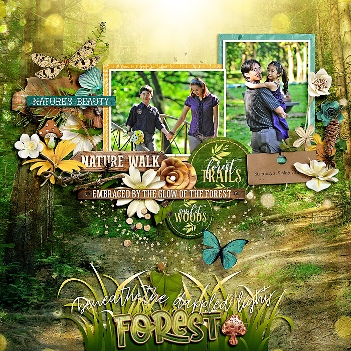eve-20110509-forest-creek-web