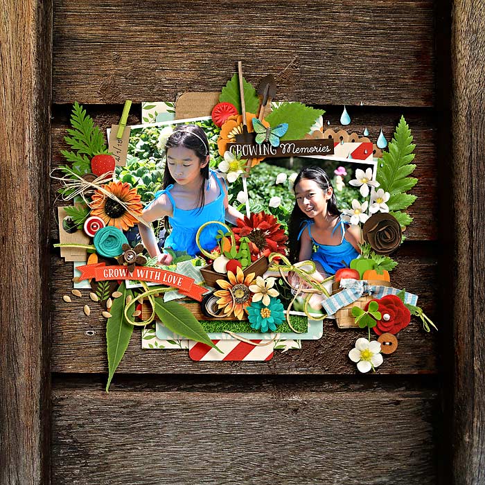 eve-20150104-berry-patch-web
