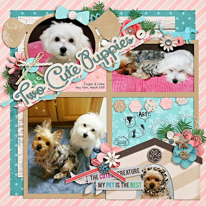 eve-20150310-casper-_-chloe-web2