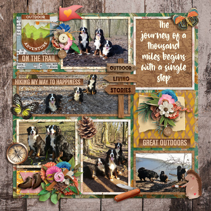 ezane-ezpages34--WP-SD-Trails-and-Tails-700