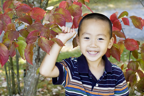 fall-picture