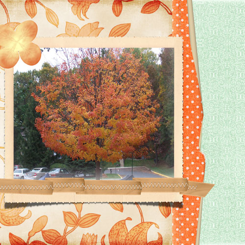 fall
