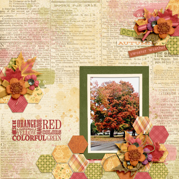 fall_again_2012_switchwiz