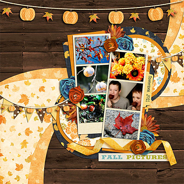 fall_pictures