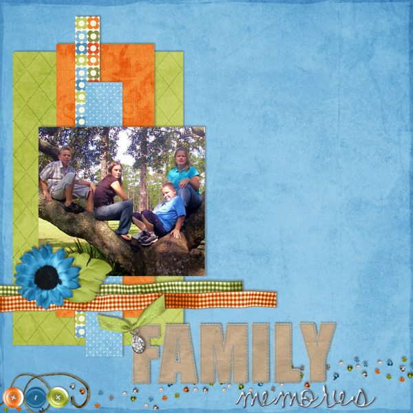 family17