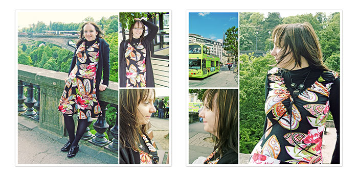 fb_lux2009_bus2