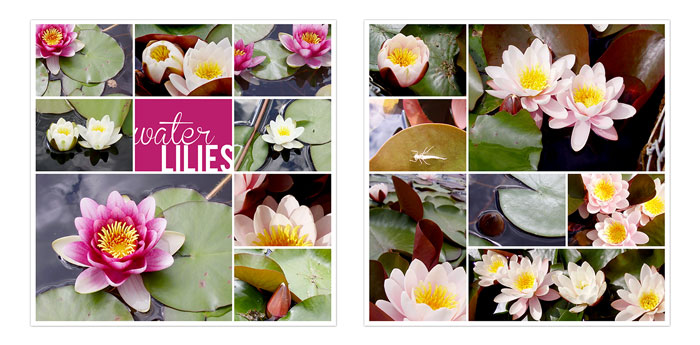 fb_lux2009_lekna_small