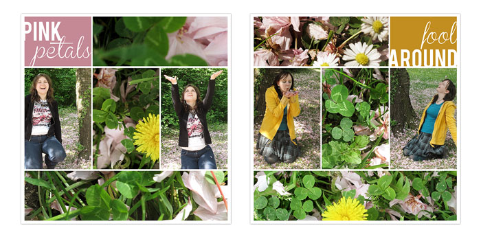 fb_lux2009_pinkpetals_small