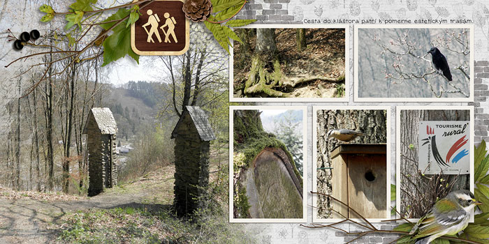 fb_lux2011_clervauxwood_small