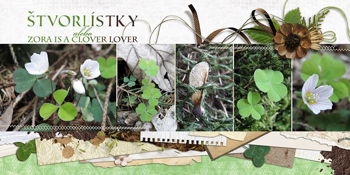 fb_lux2011_clover_small