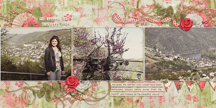 fb_lux2011_cochem10_small