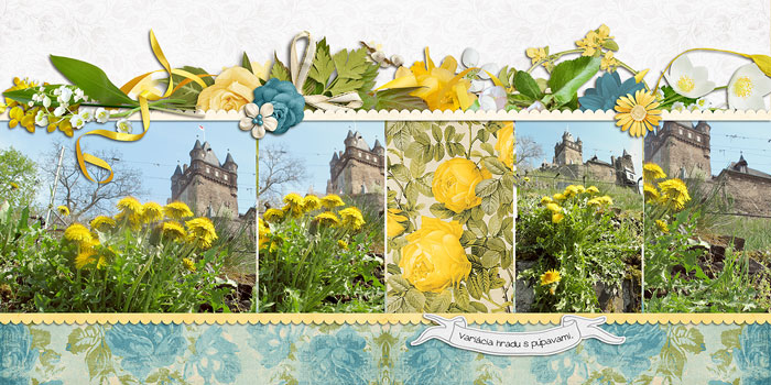 fb_lux2011_cochem5_small