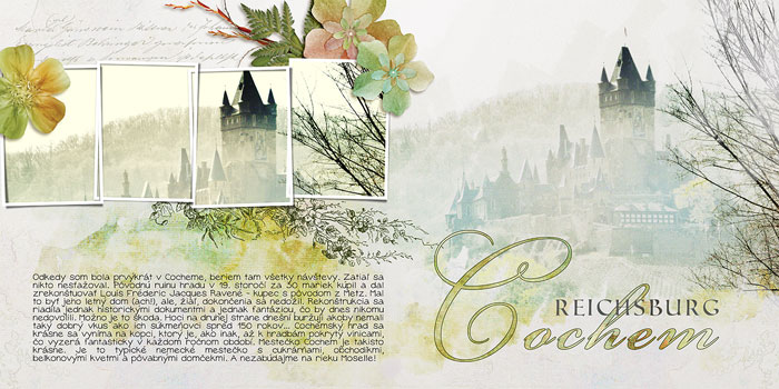 fb_lux2011_cochem_small