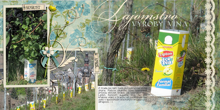 fb_lux2011_lipton_small