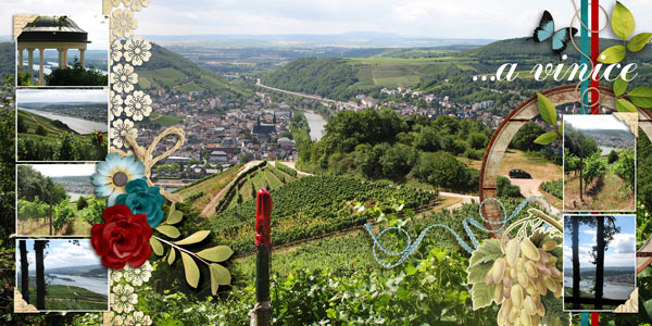 fb_ruedesheim_05_vinice2_small