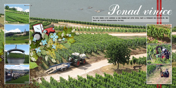 fb_ruedesheim_05_vinice_small