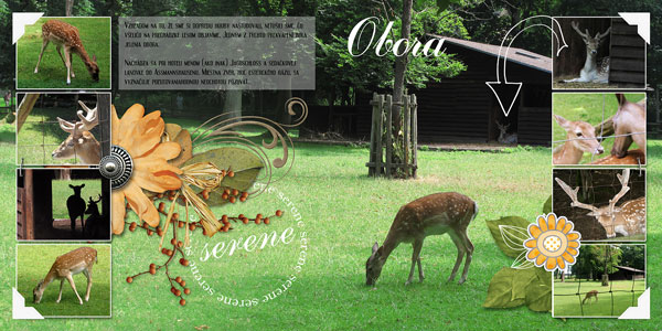 fb_ruedesheim_obora_small