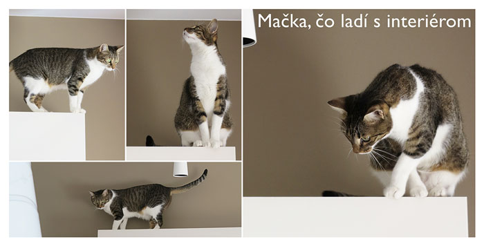 fb_zvieratka_01