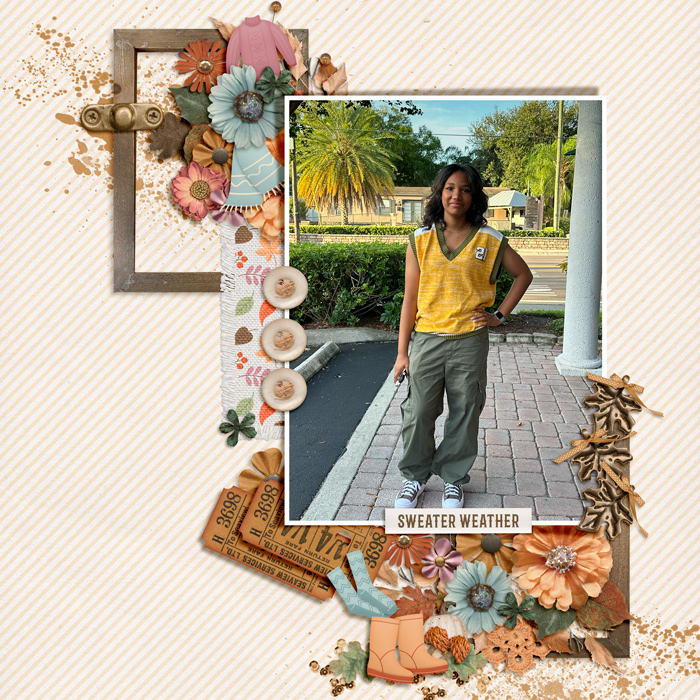 fdd_DSD2024_TemplateChallenge_tp11