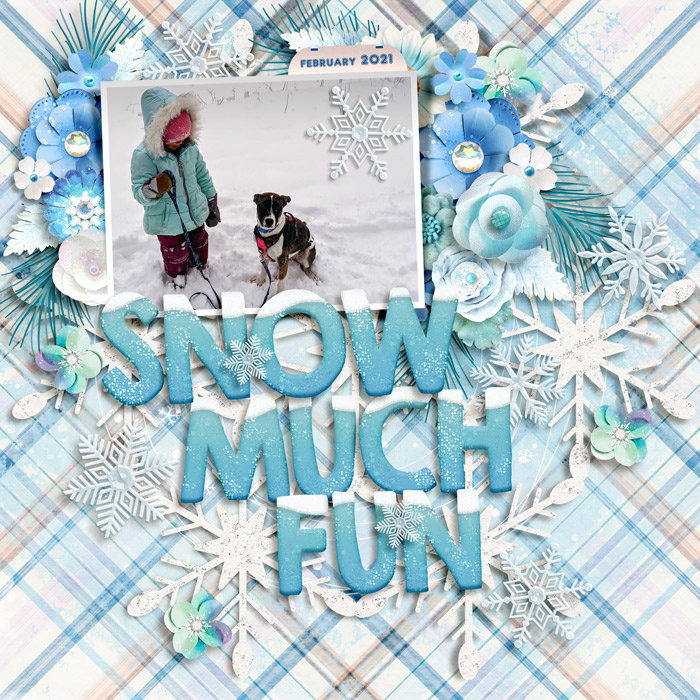 fdd_SnowflakeJoy700