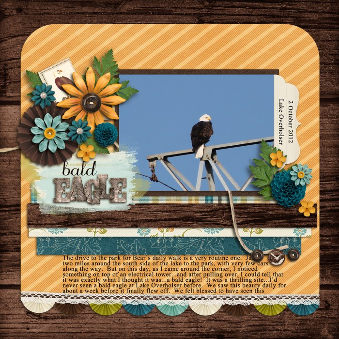 fdd_ffBOL2_tp4_700_x_700_