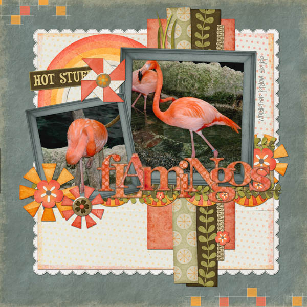 flamingosLR