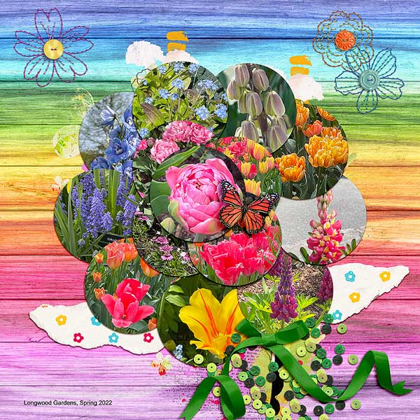 flower6