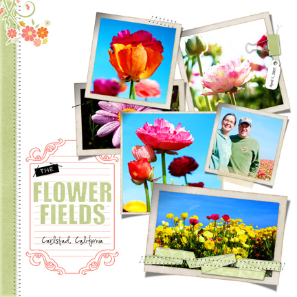 flowerfieldscollage