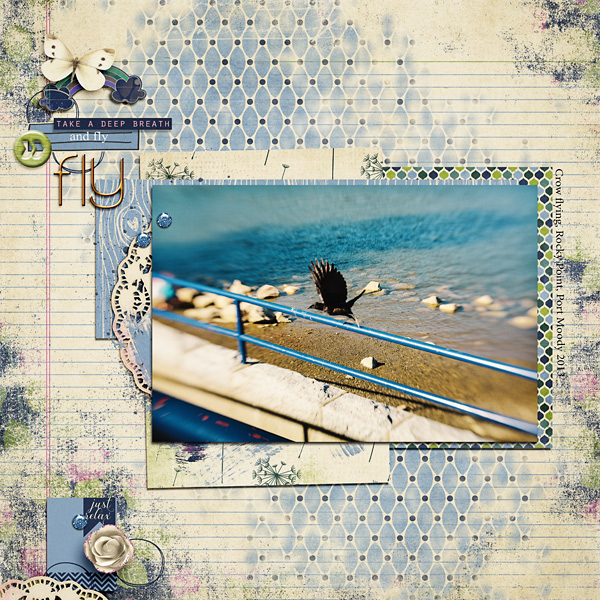 flycopy